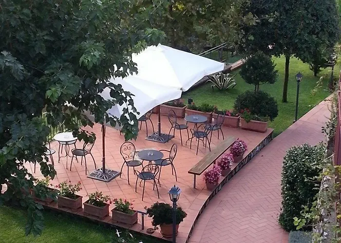 Farfalle E Gabbiani